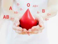 Festa del Donatore di Sangue